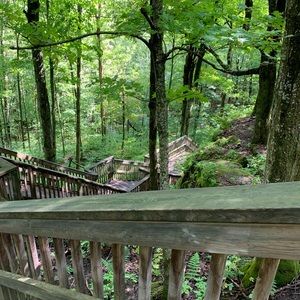 Meet your Posher, Nimal